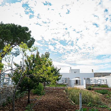 Le Masserie Zucaro Castel Del Monte  Εξωτερικό φωτογραφία