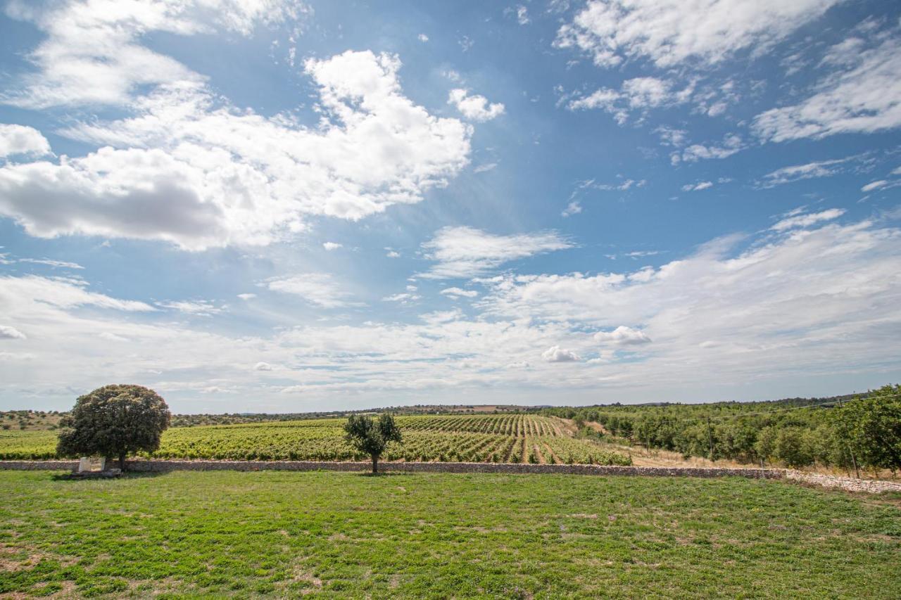Le Masserie Zucaro Castel Del Monte  Εξωτερικό φωτογραφία