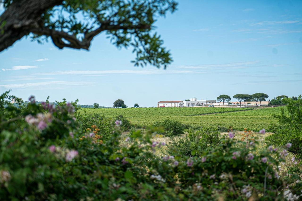 Le Masserie Zucaro Castel Del Monte  Εξωτερικό φωτογραφία