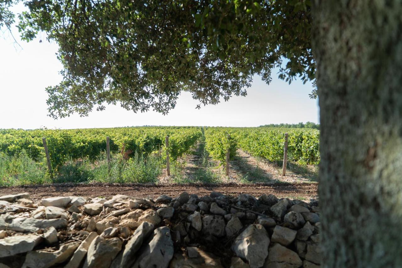 Le Masserie Zucaro Castel Del Monte  Εξωτερικό φωτογραφία