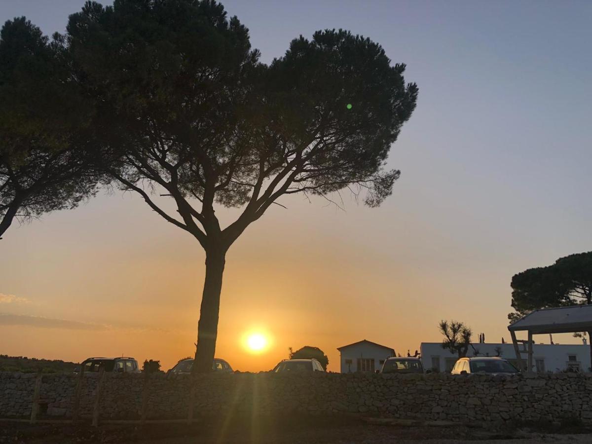 Le Masserie Zucaro Castel Del Monte  Εξωτερικό φωτογραφία